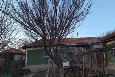 Casă individuală cu 4 camere cu Teren 2200 Mp în Seaca - 1