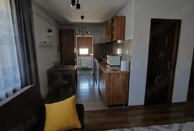 Apartament 3 camere central (82mp), UMF, Copou, Piata Unirii de inchiriat - 2