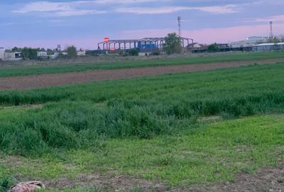 Teren Construcții intravilan de 1562 mp, în Afumați - 6