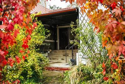 Casă cu 3 camere cu Teren 4774 Mp în Tiocu de Jos