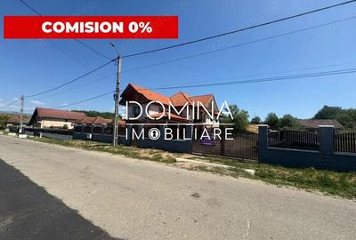 Casă cu 4 camere cu Teren 4692 Mp în Rasova - 10