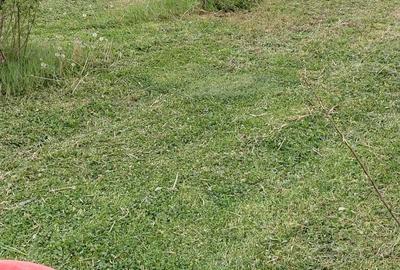 Teren de 1500 mp, în Zădăreni - 4