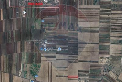 Teren agricol extravilan de 13000 mp, în Prejmer - 2