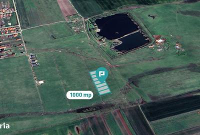 Teren de 1000 mp, în Zimandu Nou - 5