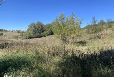 Spațiu comercial, în Cornățel - 2