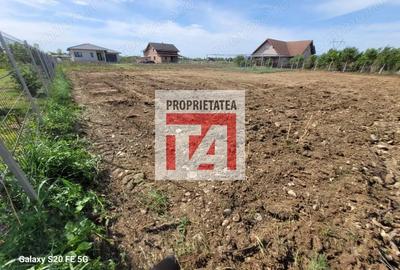 Teren de 1312 mp, în Cătălina - 7