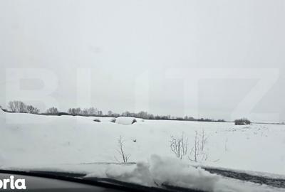 Teren de 41000 mp, în Giroc