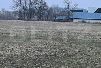 Spațiu comercial, în Marginea - 4