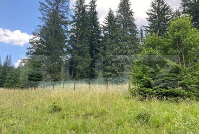 Teren de 9975 mp, în Predeal - 8