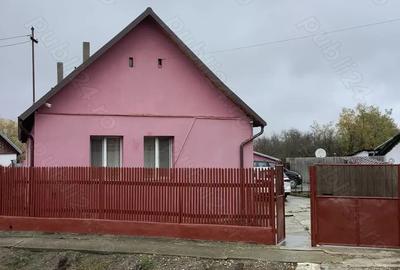 Casa de vanzare in satul Vinatori, comuna Mi?ca, jud. Arad. - 3