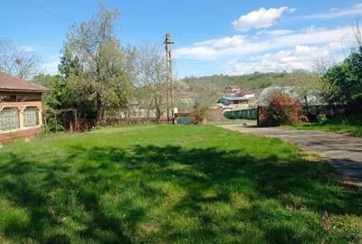 Casă cu 5 camere cu Teren 19900 Mp în Central - 7