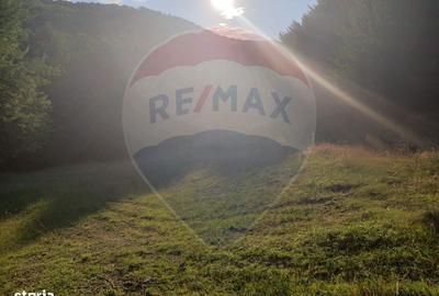 Spațiu comercial, în Coaș - 1