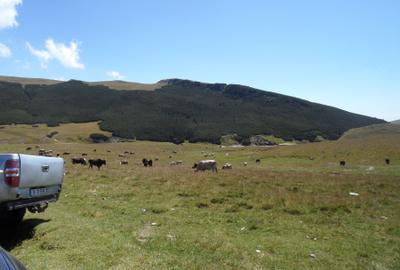Teren in Moroeni zona Piatra Arsa - 5