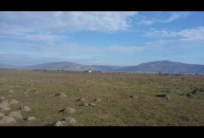 Spațiu comercial, în Prejmer - 7