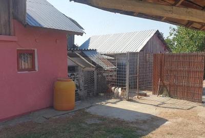 Casă cu 3 camere cu Teren 1600 Mp în Ionești - 16
