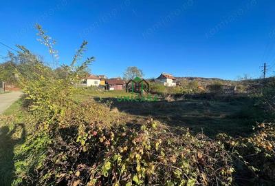 Teren de 1090 mp, în Păușești - 3