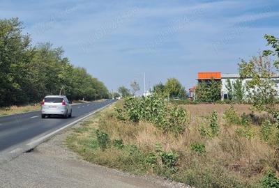 Teren de 5000 mp, în Pantelimon - 1