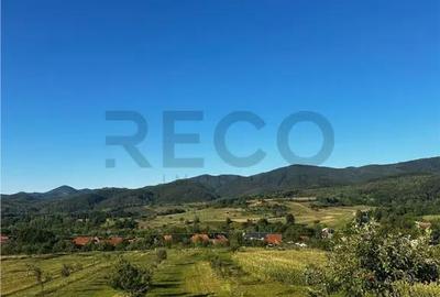Casă cu 2 camere cu Teren 4000 Mp în Budureasa - 2
