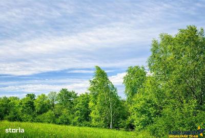 Spațiu comercial, în Șelari - 3