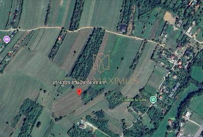 Teren Construcții intravilan de 6600 mp, în Rășinari - 3