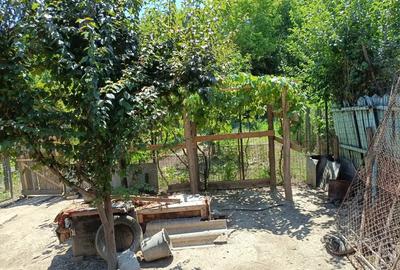 Vind casa cu teren - 7