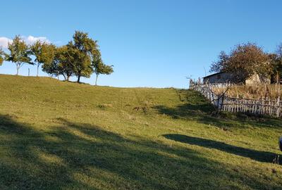 Teren livadă cu panoramă superbă Dealul Malului pentru casă sau cabană - 24