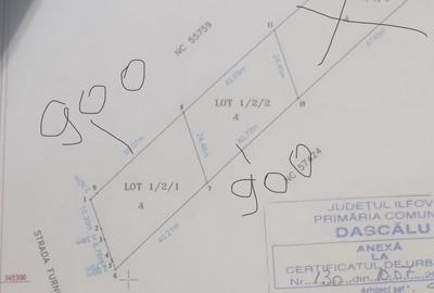 Dascalu, Ilfov - 2