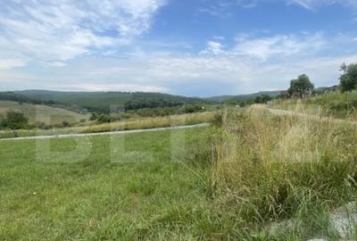 Teren de vanzare zona Subcetate, aproape de str. Tarp - 2