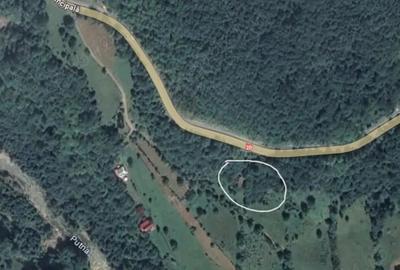 Cabana de vanzare Lep?a, jud. Vrancea - Cheile Ti?i?ei - 4