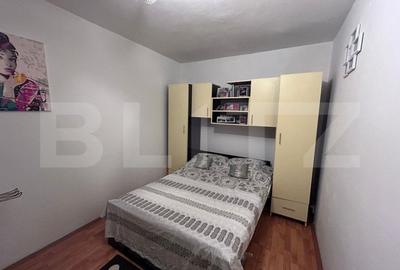Apartament cu 2 camere semidecomandat în Craiovița Nouă - 4