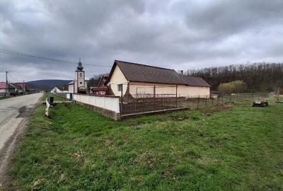 Teren de 4756 mp, în Coasta - 3