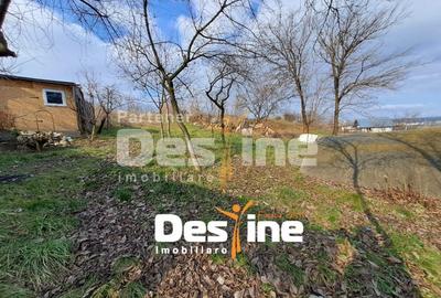 Casă individuală cu 2 camere cu Teren 1250 Mp în Uricani - 6