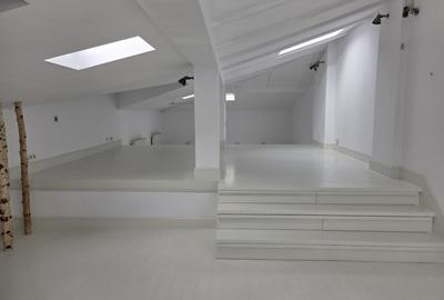 Vila interbelica de inchiriat/pretabila activitati comerciale/Victoriei - 18