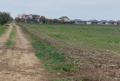 Teren Construcții intravilan de 6800 mp, în Săbăreni - 9