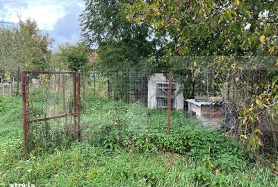 Casă cu 2 camere cu Teren 832 Mp în Prejmer - 5