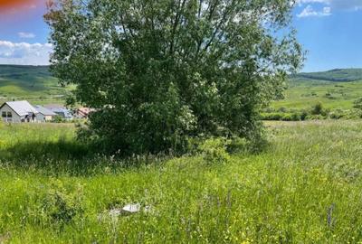 Teren de 634 mp, în Sopor - 6