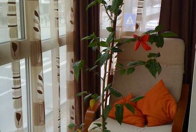 Apartament cu 3 camere semidecomandat în Cetate - 6