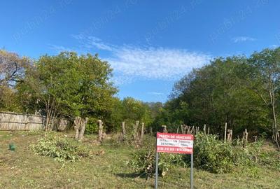 Teren de 7000 mp, în Drăgoești - 5