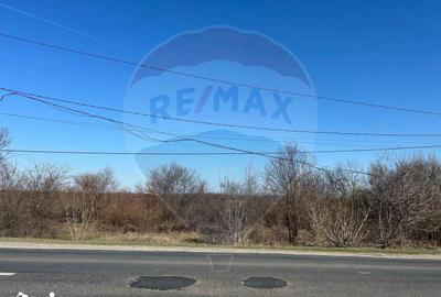 Teren de 40000 mp, în Crevedia