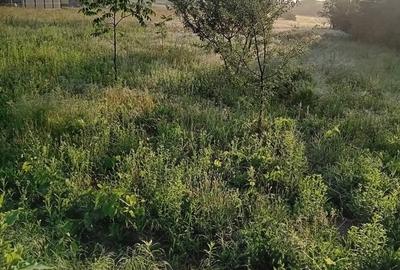 Teren de 4200 mp, în Giarmata - 5