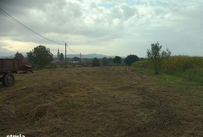 Spațiu comercial, în Răchita - 2