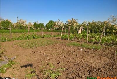 Casă cu 4 camere cu Teren 1464 Mp în Horlești - 16