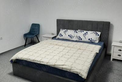 Casa de inchiriat in Talmaciu - 7