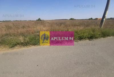 Teren de 1300 mp, în 1 Decembrie - 13