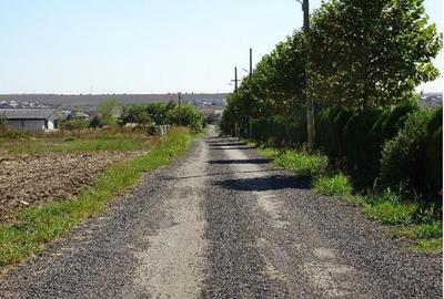 Teren de 5000 mp, în Valu lui Traian - 6