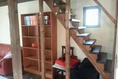 Cabana de vanzare: Ibanesti - Zimti intr-o zona de vis, pe malul apei - 2