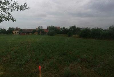 Bucovat - Teren intravilan -loc de casa - 1095 mp -Front 17m - 4