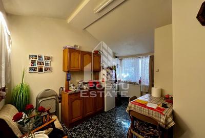 Apartament cu 3 camere decomandat, mobilat în Iosefin - 16