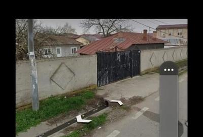 Cernica, Tanganu - 7