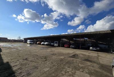 Teren in suprafata de 7774 intravilan | Constructi in suprafata de 1029 mp - 3